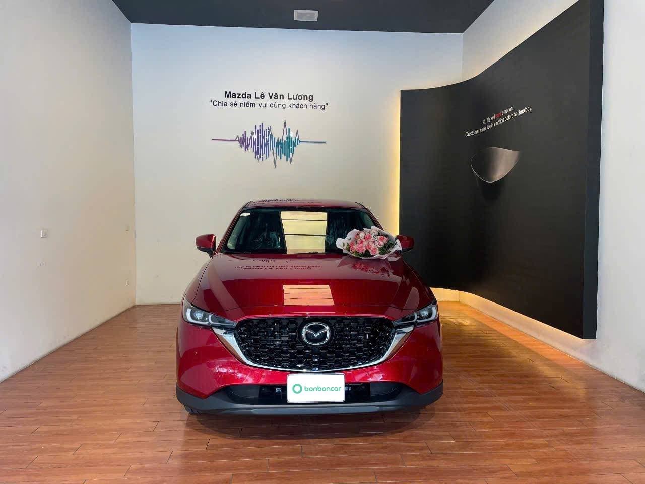 Hình ảnh 2 Image 2