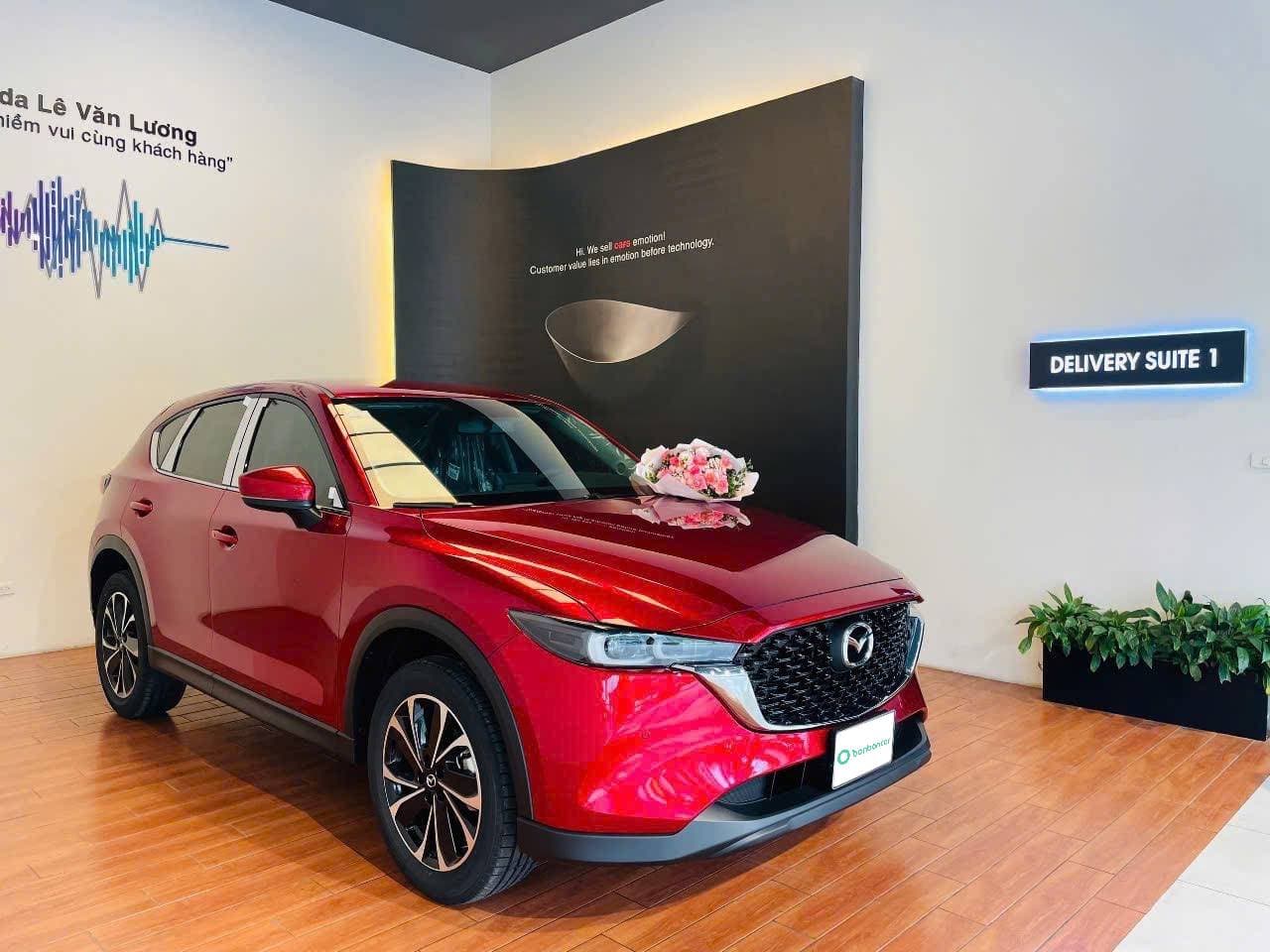 Hình ảnh 1 Image 1