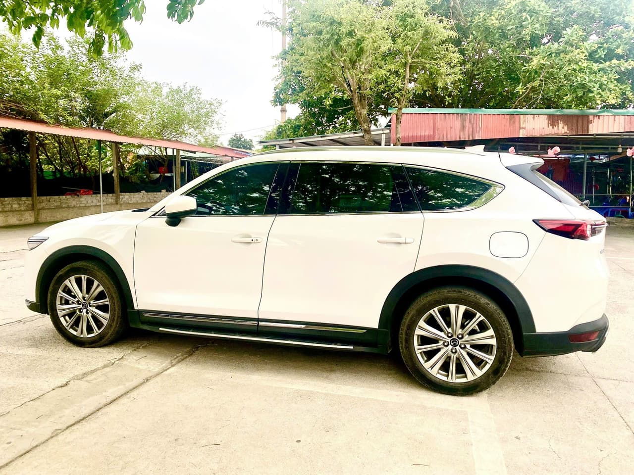 Hình ảnh 6 Image 6