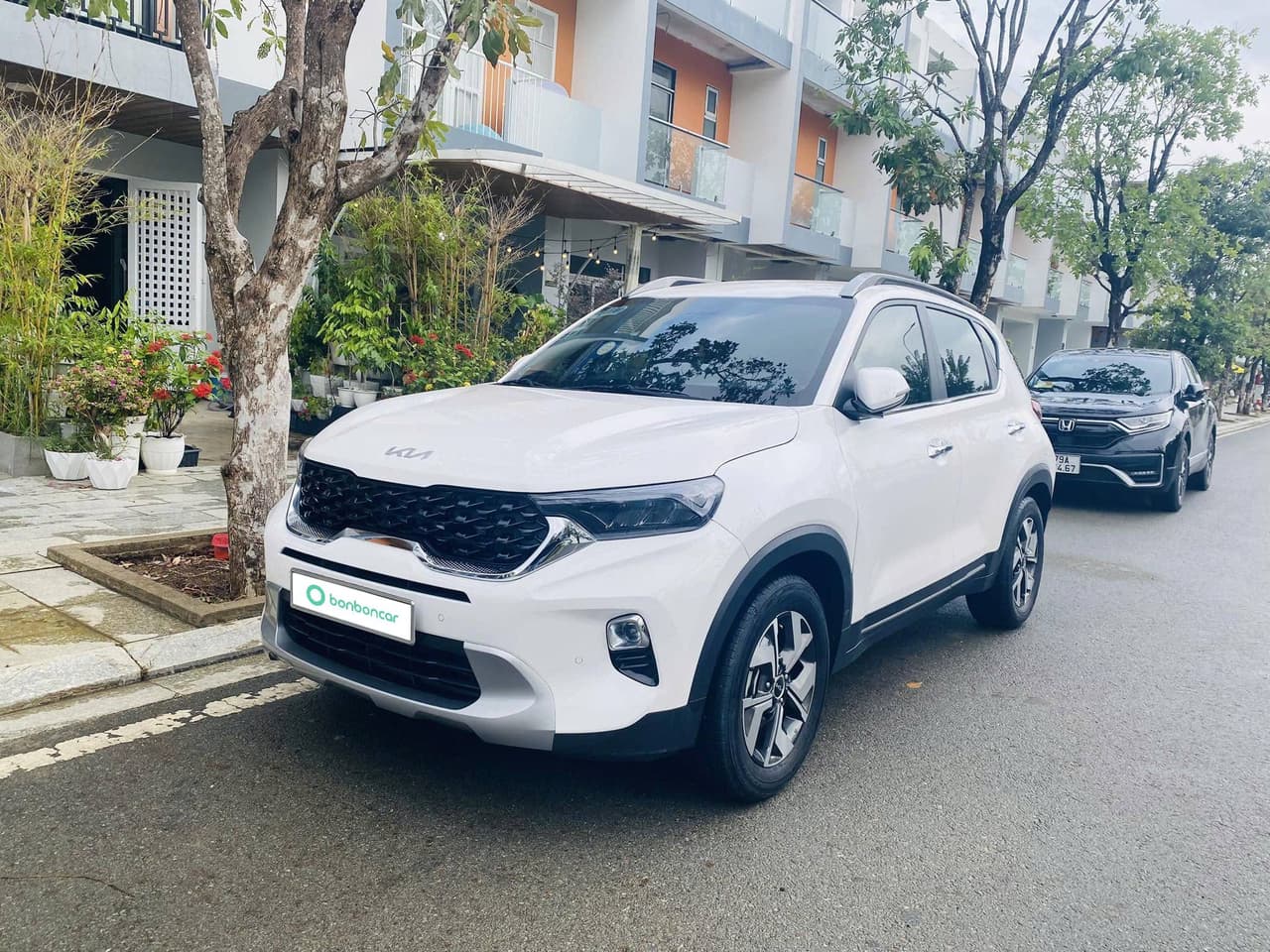 Hình ảnh 1 Image 1