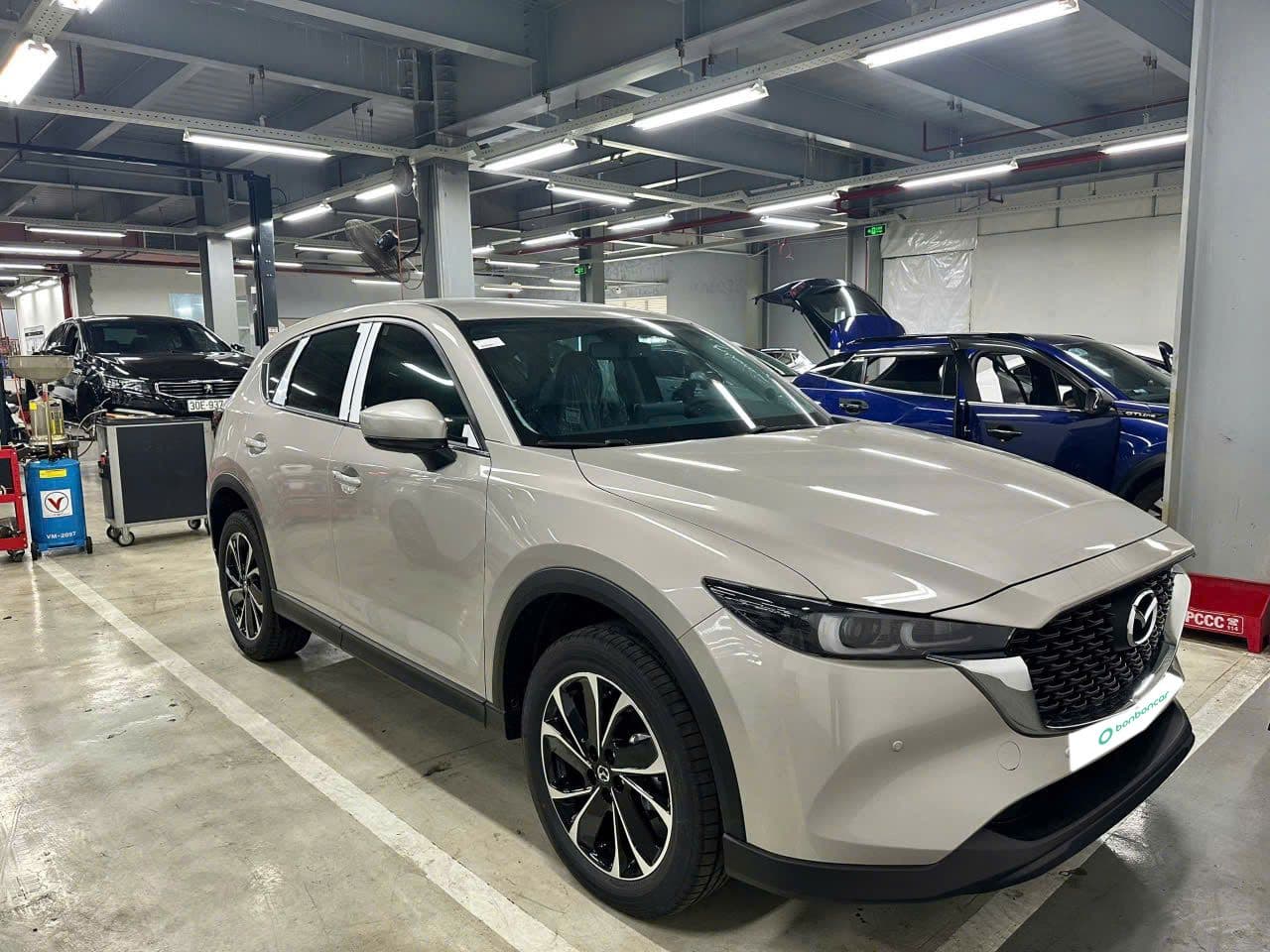 Hình ảnh 1 Image 1