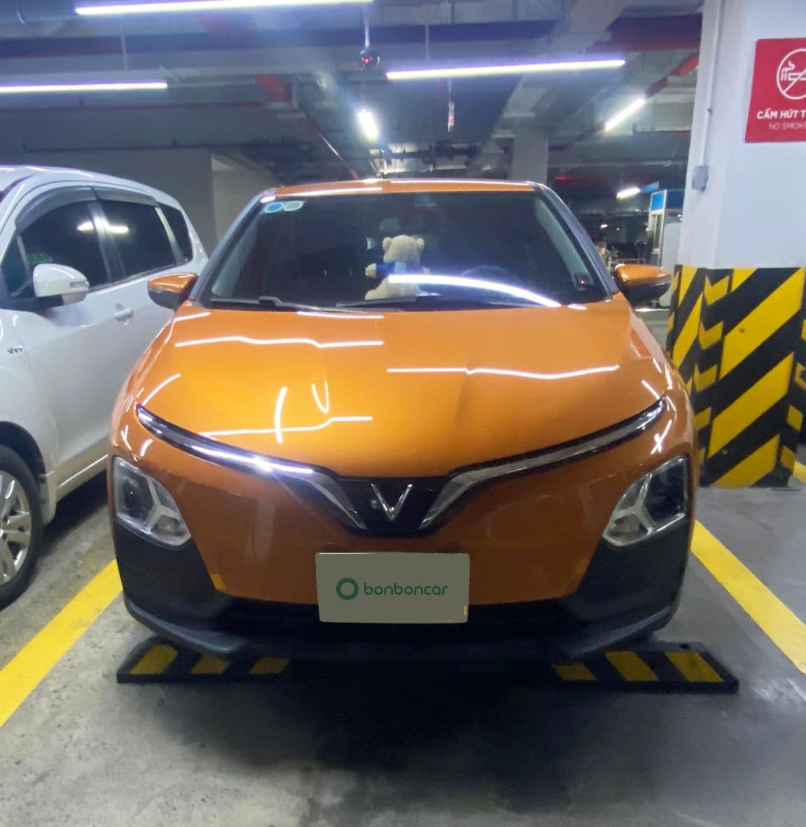 Hình ảnh 3 Image 3